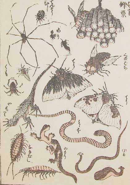 Husson-Vase